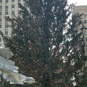 Meet your Posher, Javier